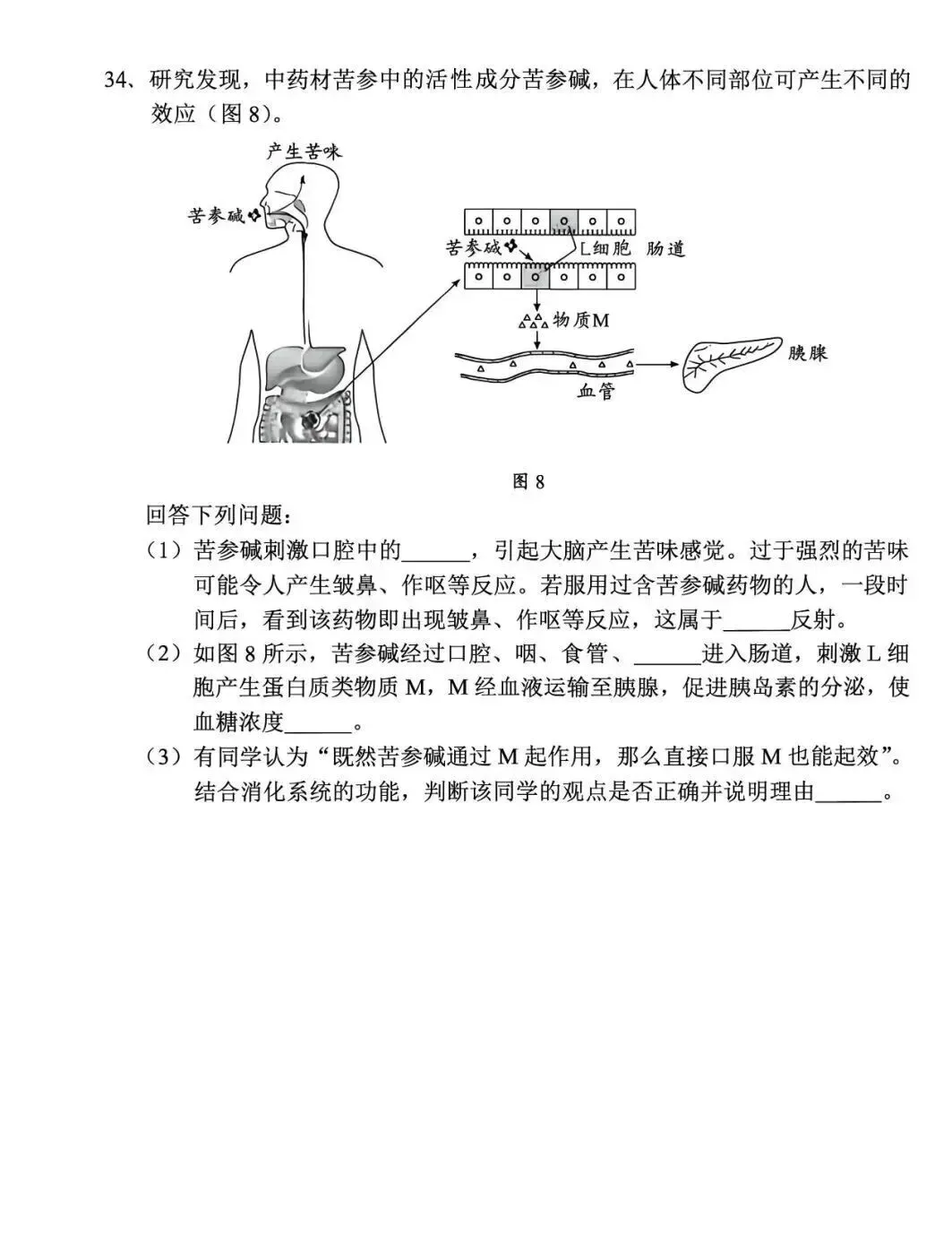 速看!2026广东中考真题+参考答案(9科合集)!!!-第65张图片-四季读书网