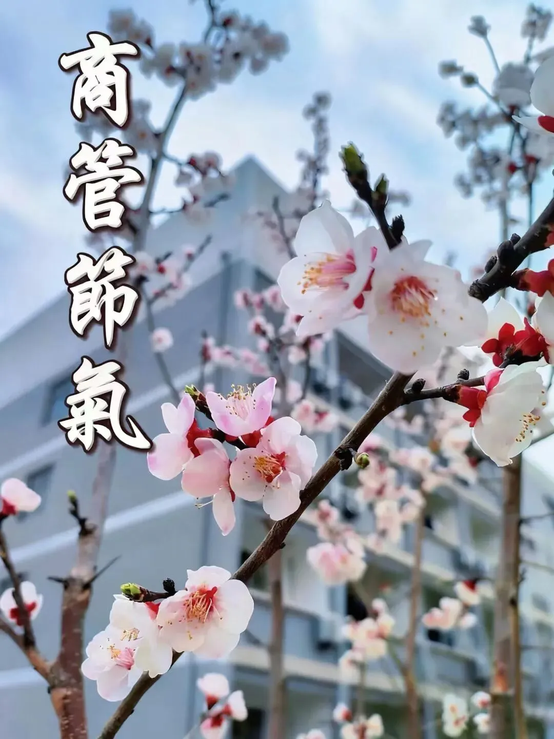 【喜报】商务管理系学子在校级专升本模拟测试中喜获佳绩-第16张图片-四季读书网 【喜报】商务管理系学子在校级专升本模拟测试中喜获佳绩-第16张图片-四季读书网
