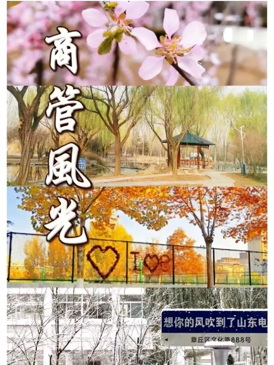 【喜报】商务管理系学子在校级专升本模拟测试中喜获佳绩-第17张图片-四季读书网 【喜报】商务管理系学子在校级专升本模拟测试中喜获佳绩-第17张图片-四季读书网