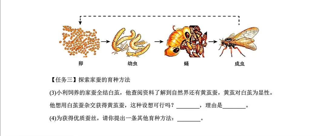 【生物】2026内蒙古中考生物试卷-第5张图片-四季读书网