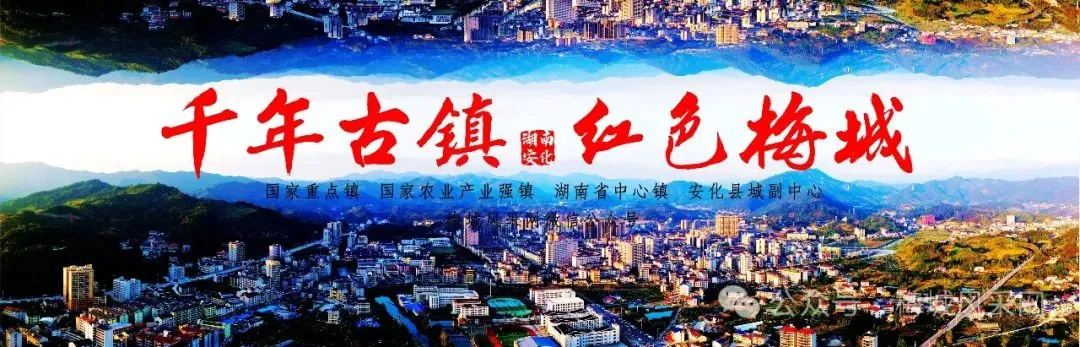 全县中考状元花落梅城!两所学校齐创辉煌,这份教育底气再次印证梅城是个读书的好地方......-第1张图片-四季读书网