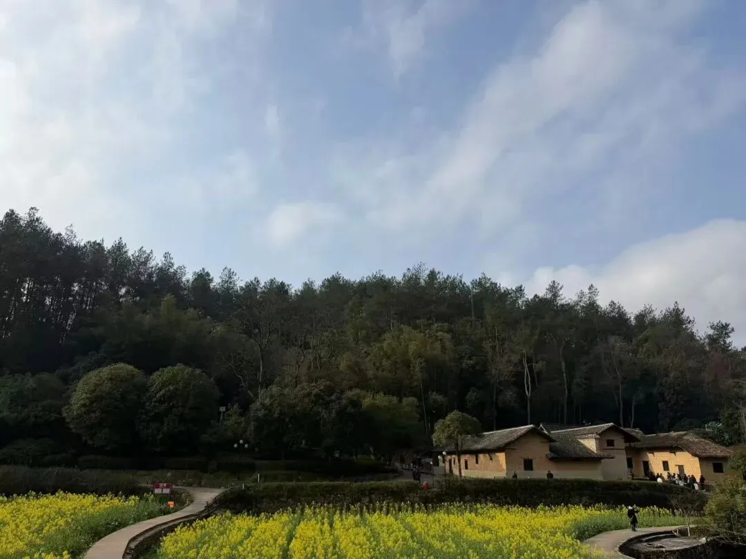 成都中考化学多少分?不同分数段暑假预习方案-第5张图片-四季读书网