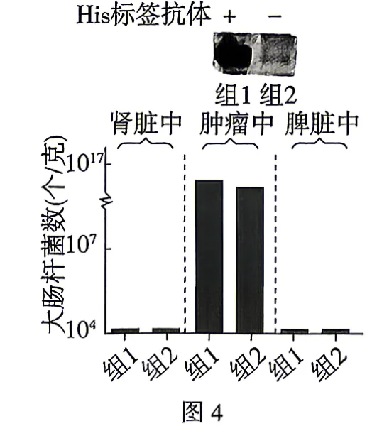 2026年高考四川卷生物真题完全解读-第26张图片-四季读书网