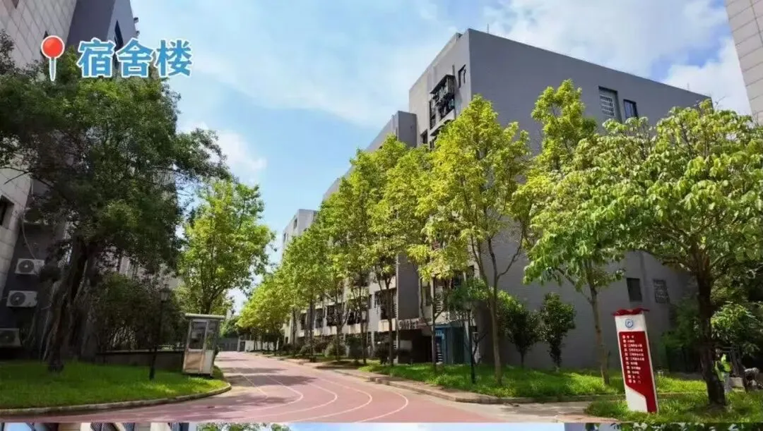 中考成绩不理想别焦虑!这所公办国家级重点中专,升学就业双丰收|广西纺织工业学校2026招生简章-第2张图片-四季读书网 中考成绩不理想别焦虑!这所公办国家级重点中专,升学就业双丰收|广西纺织工业学校2026招生简章-第2张图片-四季读书网