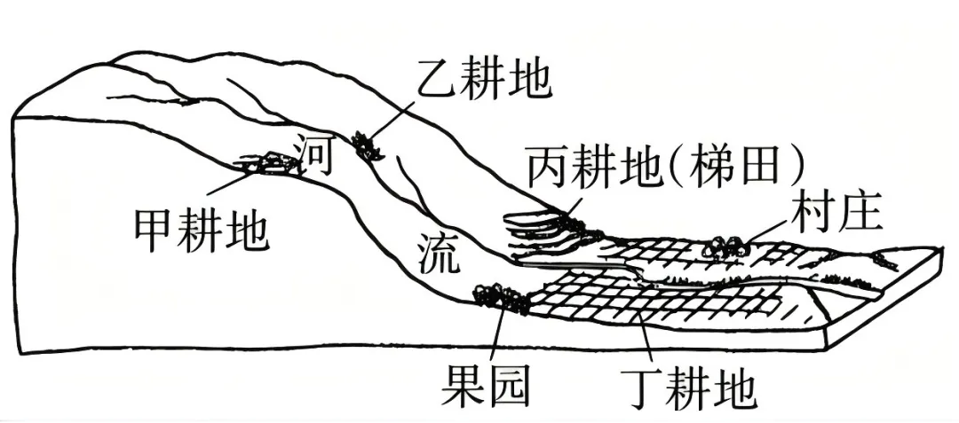 打卡真题|农业生产(Day 149)-第5张图片-四季读书网