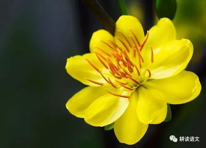 中考满分作文:心有清泉(范文6篇)-第6张图片-四季读书网 中考满分作文:心有清泉(范文6篇)-第6张图片-四季读书网