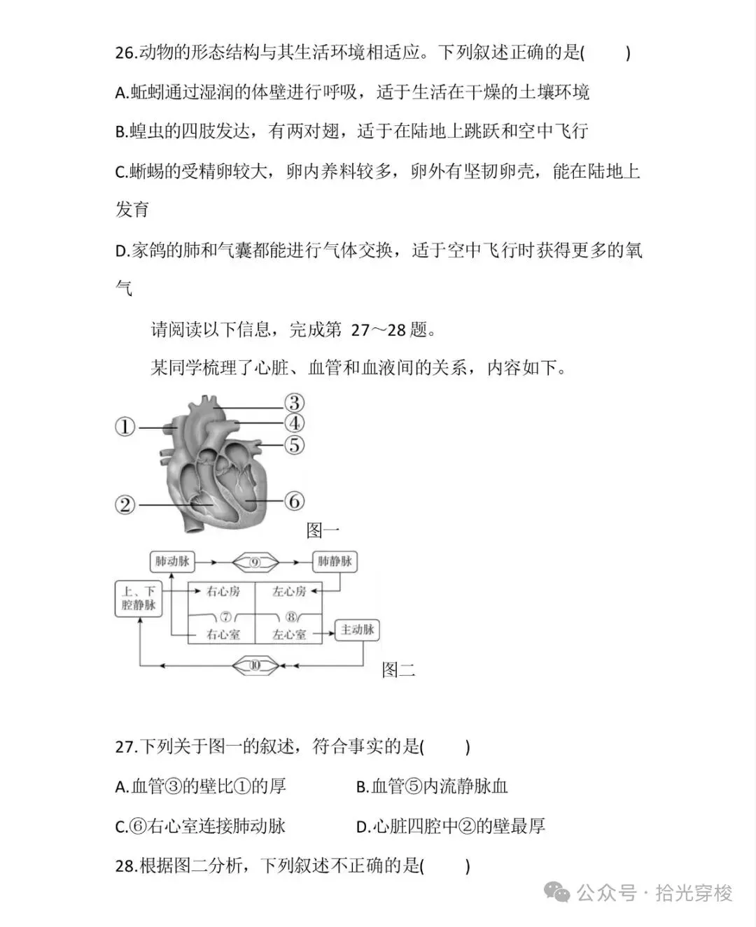 2026年生物学业水平考试模拟卷一-第11张图片-四季读书网