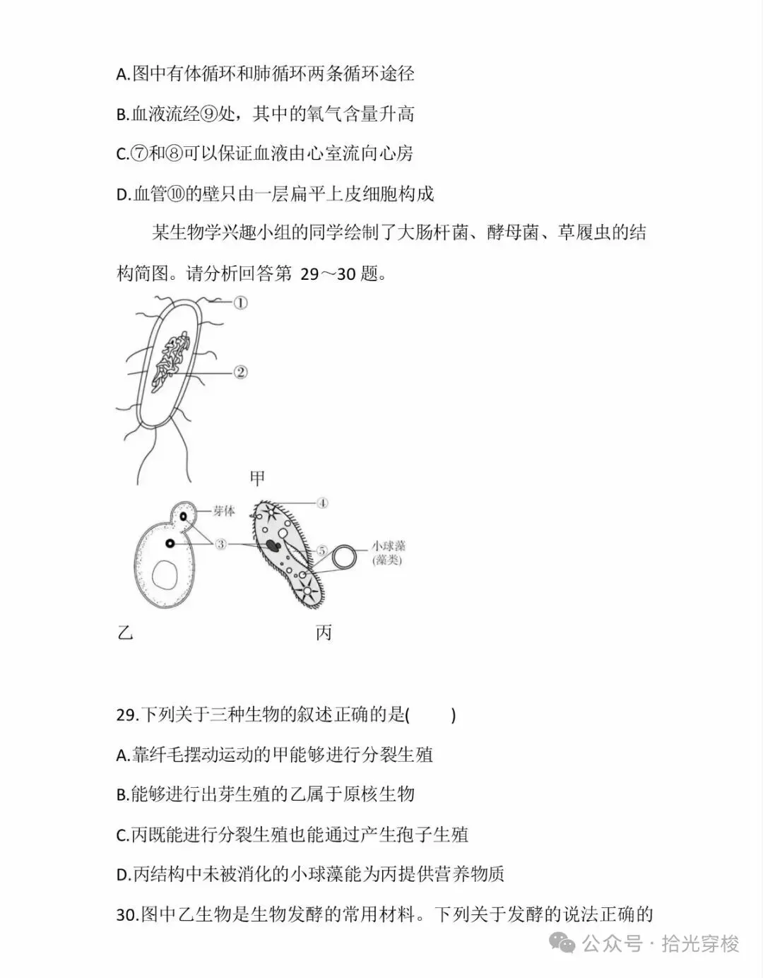 2026年生物学业水平考试模拟卷一-第12张图片-四季读书网