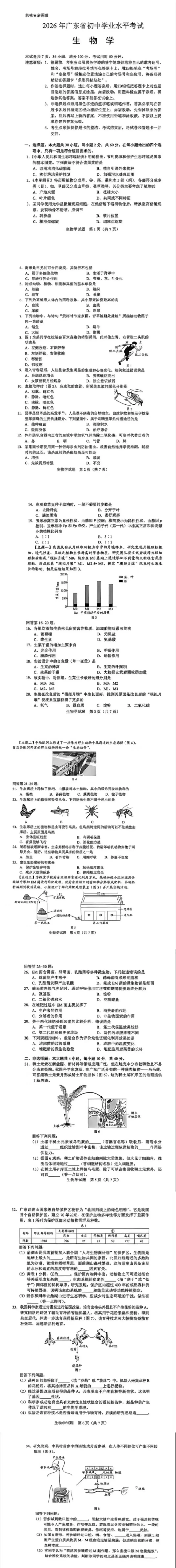 2026惠州中考试卷及答案(完整版)-第21张图片-四季读书网