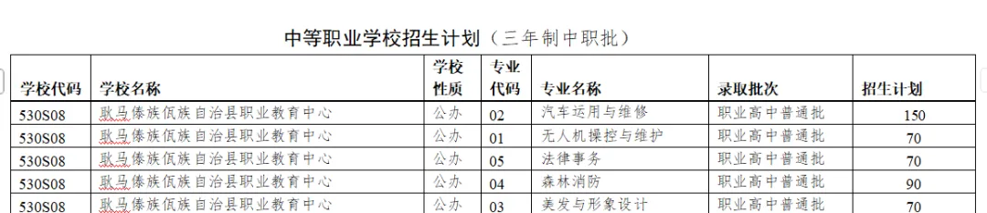 中考志愿填报必读(中职篇):中职志愿填报全解析,让你的选择更明智、更精准!-第18张图片-四季读书网 中考志愿填报必读(中职篇):中职志愿填报全解析,让你的选择更明智、更精准!-第18张图片-四季读书网