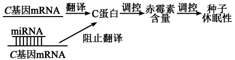 高考真题丨2026年湖南省高考生物真题答案详细解读-第4张图片-四季读书网