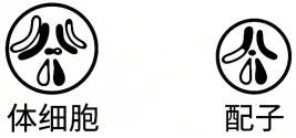高考真题丨2026年湖南省高考生物真题答案详细解读-第6张图片-四季读书网