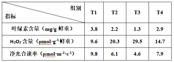 高考真题丨2026年湖南省高考生物真题答案详细解读-第10张图片-四季读书网