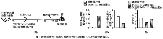 高考真题丨2026年湖南省高考生物真题答案详细解读-第14张图片-四季读书网