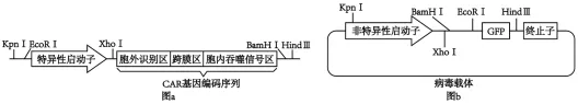 高考真题丨2026年湖南省高考生物真题答案详细解读-第15张图片-四季读书网