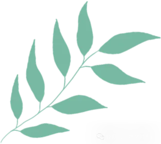 2026广州中考物理试卷完整解读,家长一定要看懂出题新趋势-第16张图片-四季读书网 2026广州中考物理试卷完整解读,家长一定要看懂出题新趋势-第16张图片-四季读书网