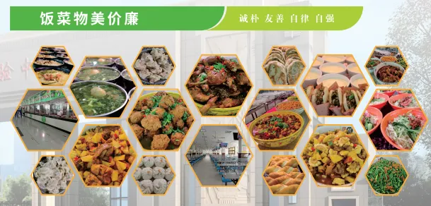 石家庄实验中学 | 2026年中考填报志愿指南-第13张图片-四季读书网