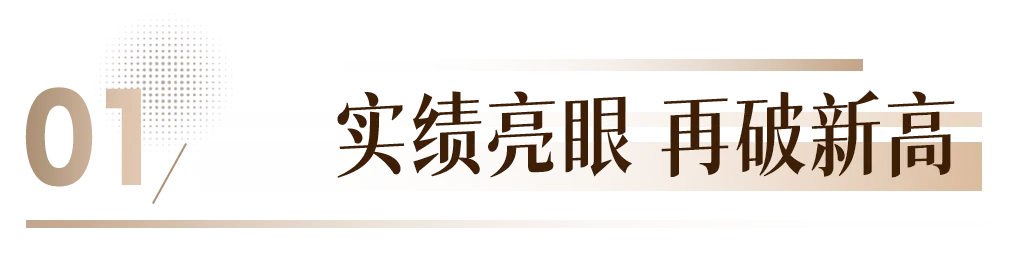 中考捷报传学府,烟花盛景耀犁桥-第2张图片-四季读书网