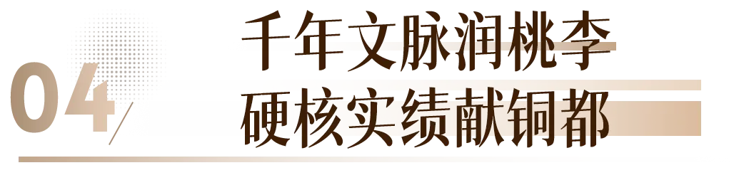 中考捷报传学府,烟花盛景耀犁桥-第9张图片-四季读书网