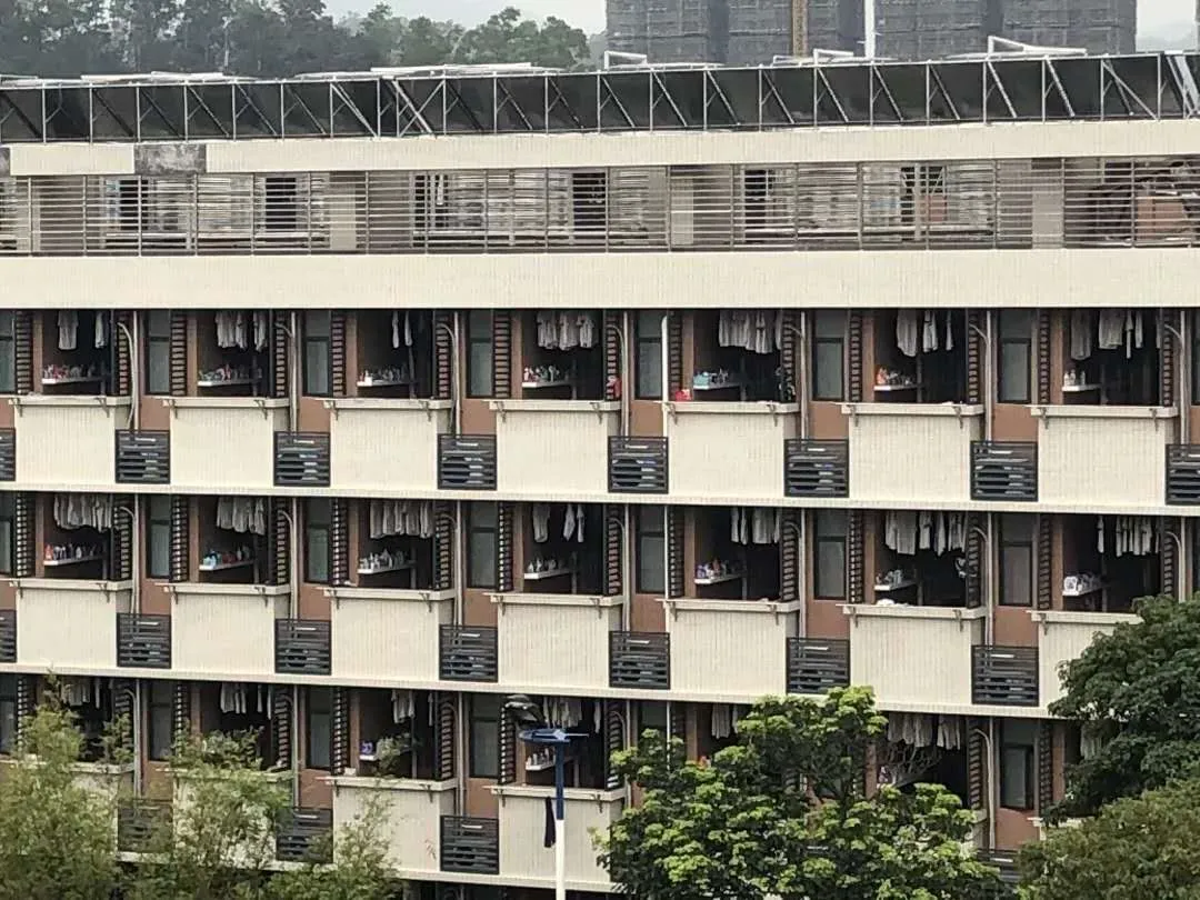 中山中考填志愿最烦恼:纪中还是一中?我肯定选→-第83张图片-四季读书网
