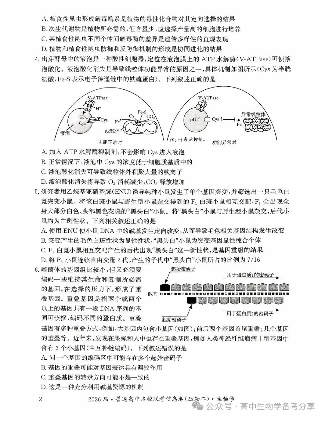 2026届高考生物学模拟试卷及答案解析-第2张图片-四季读书网