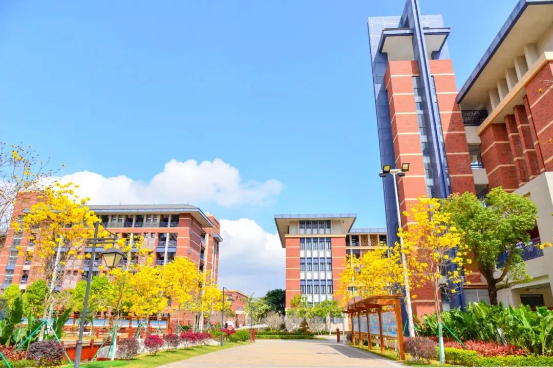 中考志愿填报进入倒计时!速来围观这所宝藏学校!①|这么近,那么美,宝藏学校在东咀-第9张图片-四季读书网