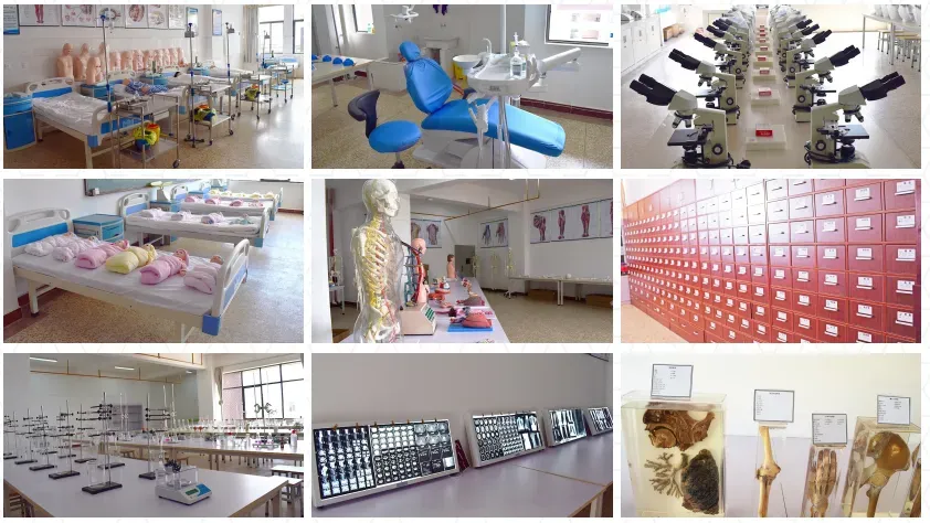 中考多少分才能报昆明市卫校 || 2026年昆明市卫生学校招生-第3张图片-四季读书网 中考多少分才能报昆明市卫校 || 2026年昆明市卫生学校招生-第3张图片-四季读书网