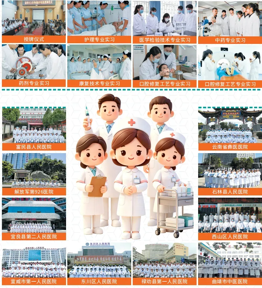 中考多少分才能报昆明市卫校 || 2026年昆明市卫生学校招生-第68张图片-四季读书网 中考多少分才能报昆明市卫校 || 2026年昆明市卫生学校招生-第68张图片-四季读书网