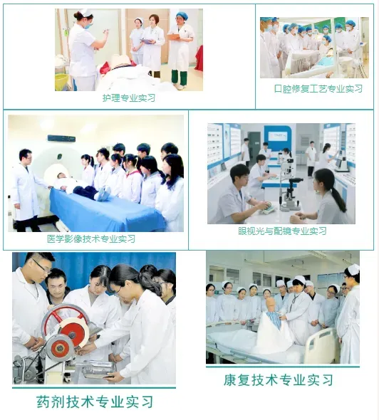 中考多少分才能报昆明市卫校 || 2026年昆明市卫生学校招生-第69张图片-四季读书网 中考多少分才能报昆明市卫校 || 2026年昆明市卫生学校招生-第69张图片-四季读书网