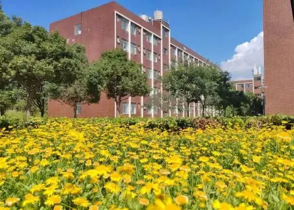 中考多少分才能报昆明市卫校 || 2026年昆明市卫生学校招生-第84张图片-四季读书网 中考多少分才能报昆明市卫校 || 2026年昆明市卫生学校招生-第84张图片-四季读书网