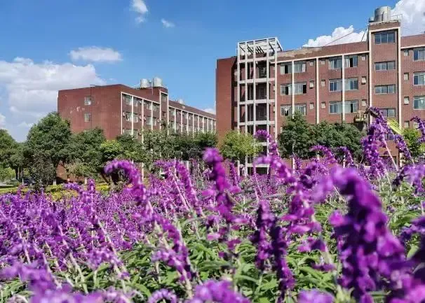 中考多少分才能报昆明市卫校 || 2026年昆明市卫生学校招生-第85张图片-四季读书网 中考多少分才能报昆明市卫校 || 2026年昆明市卫生学校招生-第85张图片-四季读书网