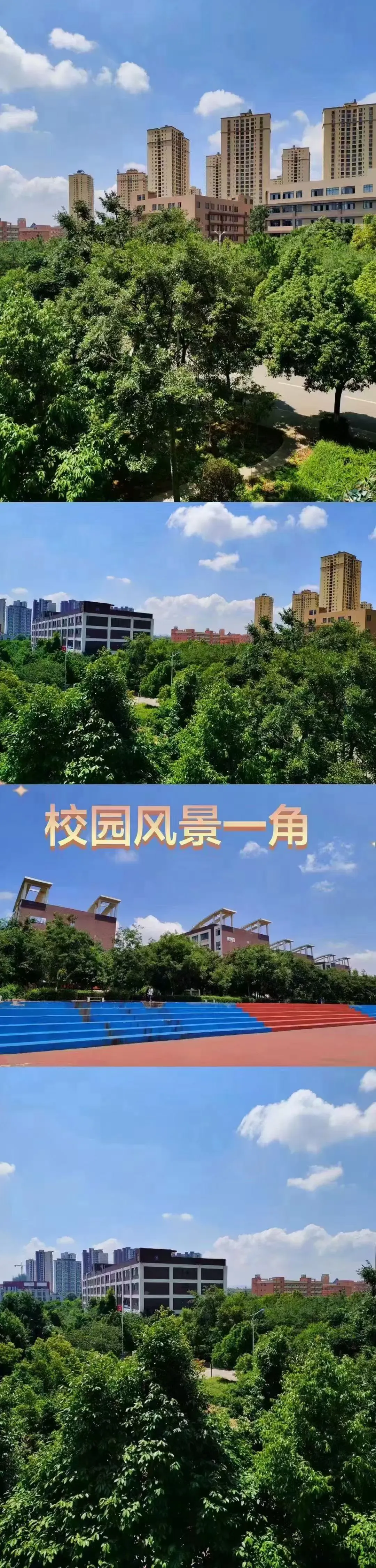 中考多少分才能报昆明市卫校 || 2026年昆明市卫生学校招生-第96张图片-四季读书网 中考多少分才能报昆明市卫校 || 2026年昆明市卫生学校招生-第96张图片-四季读书网