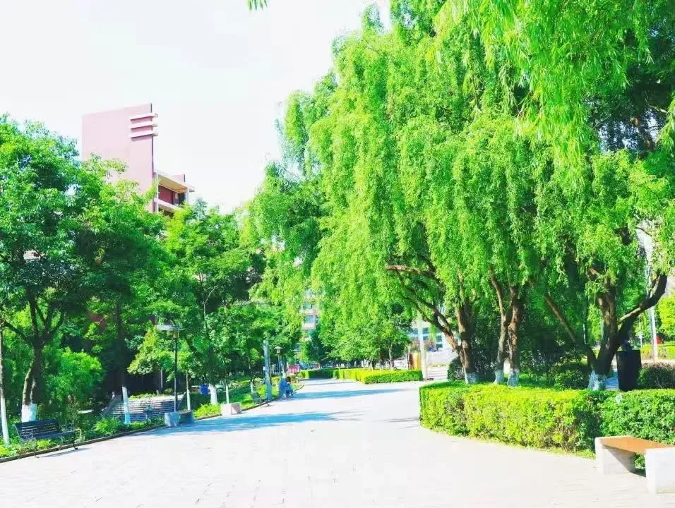 中考多少分才能报昆明市卫校 || 2026年昆明市卫生学校招生-第99张图片-四季读书网 中考多少分才能报昆明市卫校 || 2026年昆明市卫生学校招生-第99张图片-四季读书网