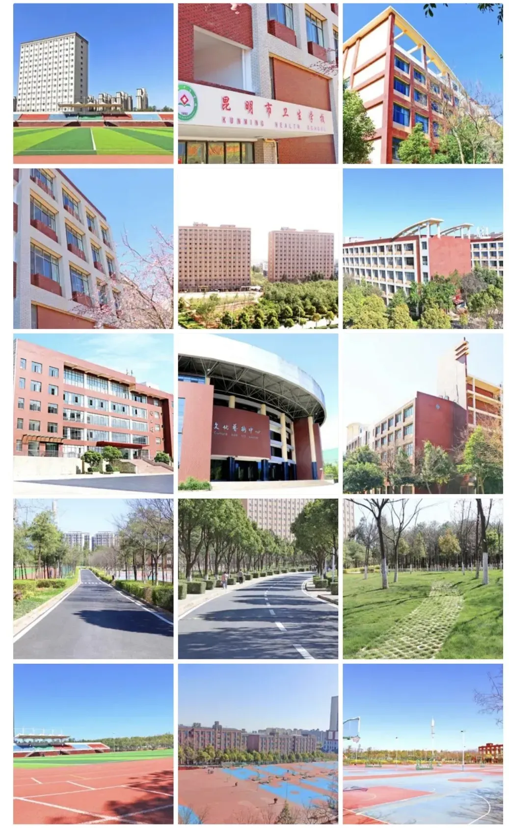 中考多少分才能报昆明市卫校 || 2026年昆明市卫生学校招生-第121张图片-四季读书网 中考多少分才能报昆明市卫校 || 2026年昆明市卫生学校招生-第121张图片-四季读书网
