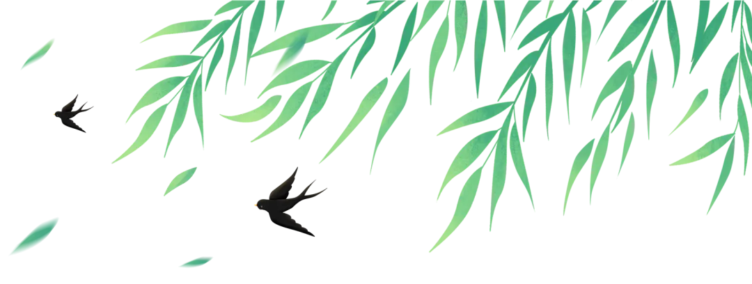 河北11市中考成绩一分一档公布-第56张图片-四季读书网