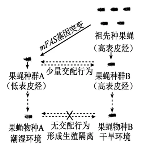 【总223期】析真题 悟方法 提素养——2025年 广东卷 第11-13题-第16张图片-四季读书网 【总223期】析真题 悟方法 提素养——2025年 广东卷 第11-13题-第16张图片-四季读书网
