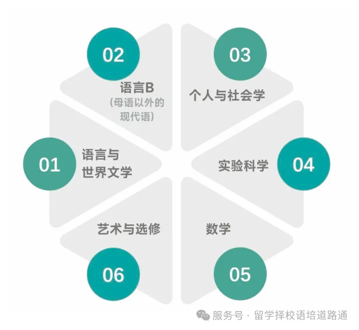 中考结束!想转轨国际教育赛道,三大课程体系AP/A-Level/IB怎么选?!-第3张图片-四季读书网 中考结束!想转轨国际教育赛道,三大课程体系AP/A-Level/IB怎么选?!-第3张图片-四季读书网