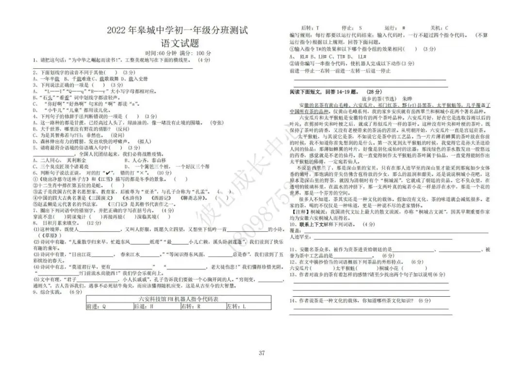 六安初中小升初往年真题卷(皋城、汇文、九中、裕安、轻工中学等)-第37张图片-四季读书网