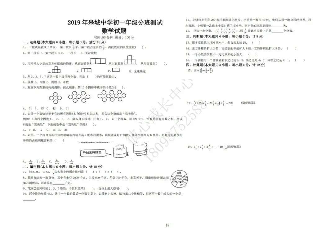 六安初中小升初往年真题卷(皋城、汇文、九中、裕安、轻工中学等)-第46张图片-四季读书网