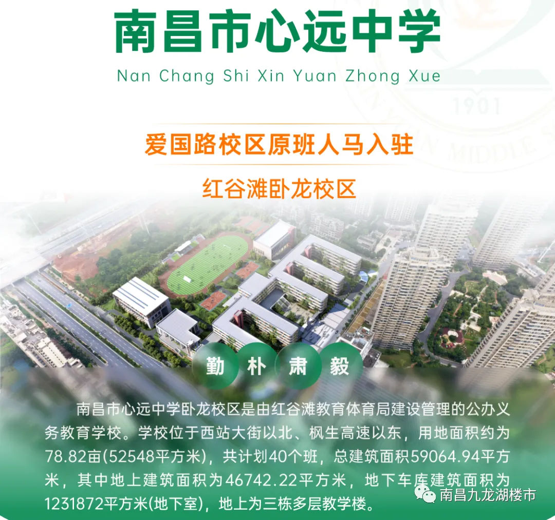 九龙湖这两所学校中考喜报,都是杠杠滴,好样的-第5张图片-四季读书网 九龙湖这两所学校中考喜报,都是杠杠滴,好样的-第5张图片-四季读书网