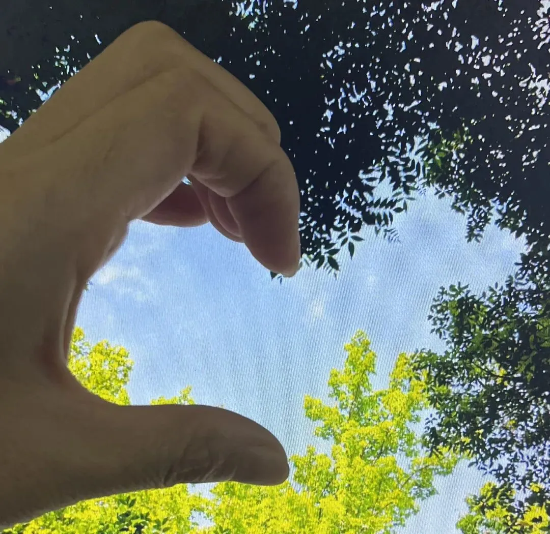 中考放榜,几家欢喜几家忧:一纸分数,从不是青春的终局-第3张图片-四季读书网