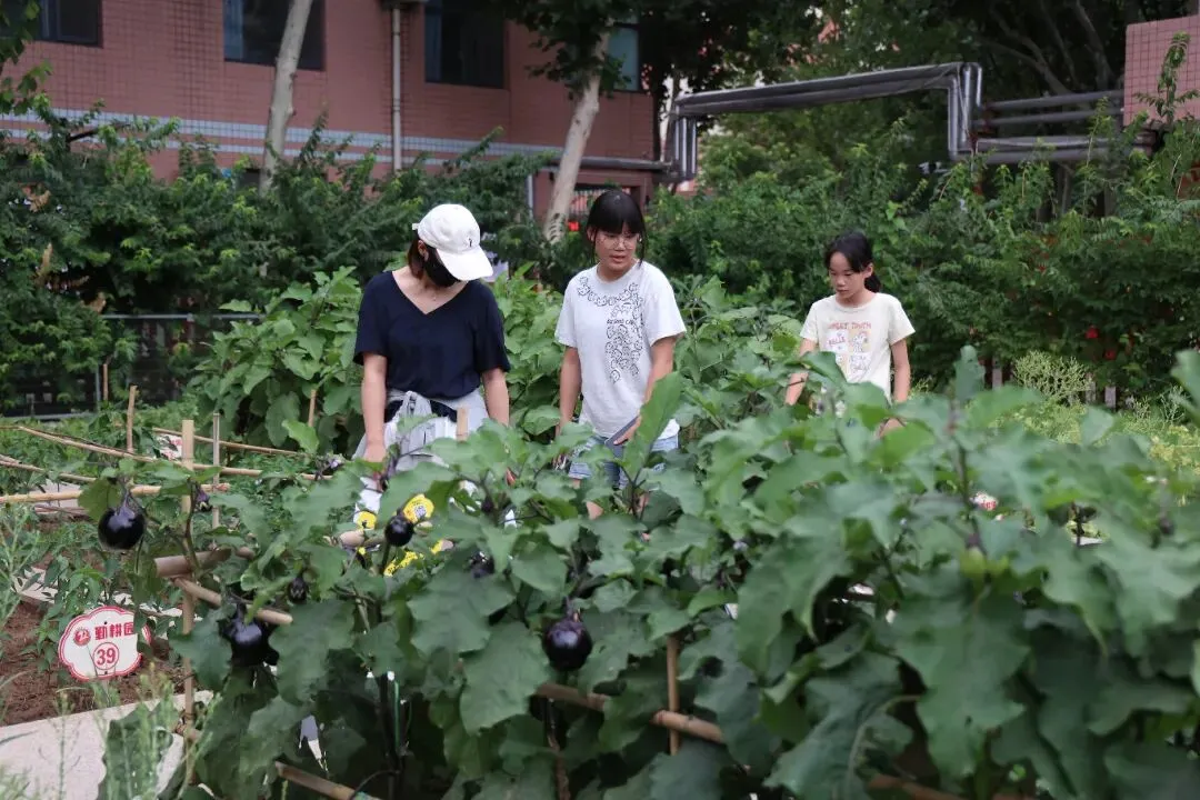 万余人参会!引爆全城!中考志愿填报咨询会圆满举行!-第169张图片-四季读书网
