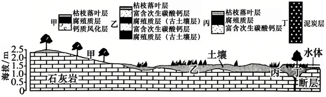 2026山东高考地理真题与答案-第3张图片-四季读书网 2026山东高考地理真题与答案-第3张图片-四季读书网