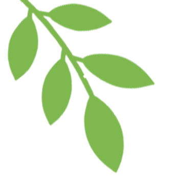 【中考复读有感】在紫阳复读这一年的蜕变-第7张图片-四季读书网 【中考复读有感】在紫阳复读这一年的蜕变-第7张图片-四季读书网