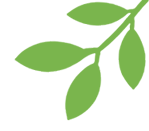 【中考复读有感】在紫阳复读这一年的蜕变-第8张图片-四季读书网 【中考复读有感】在紫阳复读这一年的蜕变-第8张图片-四季读书网