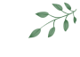 查分之后别慌张!拿着2026信阳中考成绩单对照这份“红线”,心里就有底了!-第10张图片-四季读书网