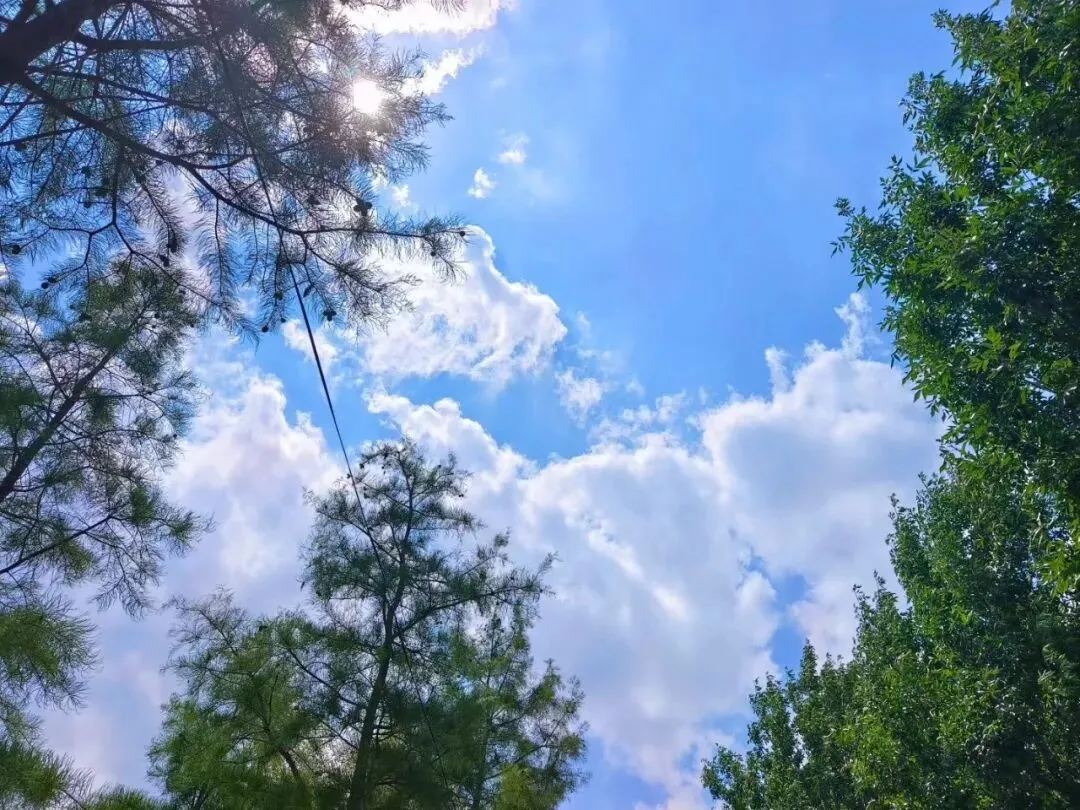 中考出分后最珍贵的成长:不是分数高低,是懂得复盘与规划未来-第1张图片-四季读书网 中考出分后最珍贵的成长:不是分数高低,是懂得复盘与规划未来-第1张图片-四季读书网