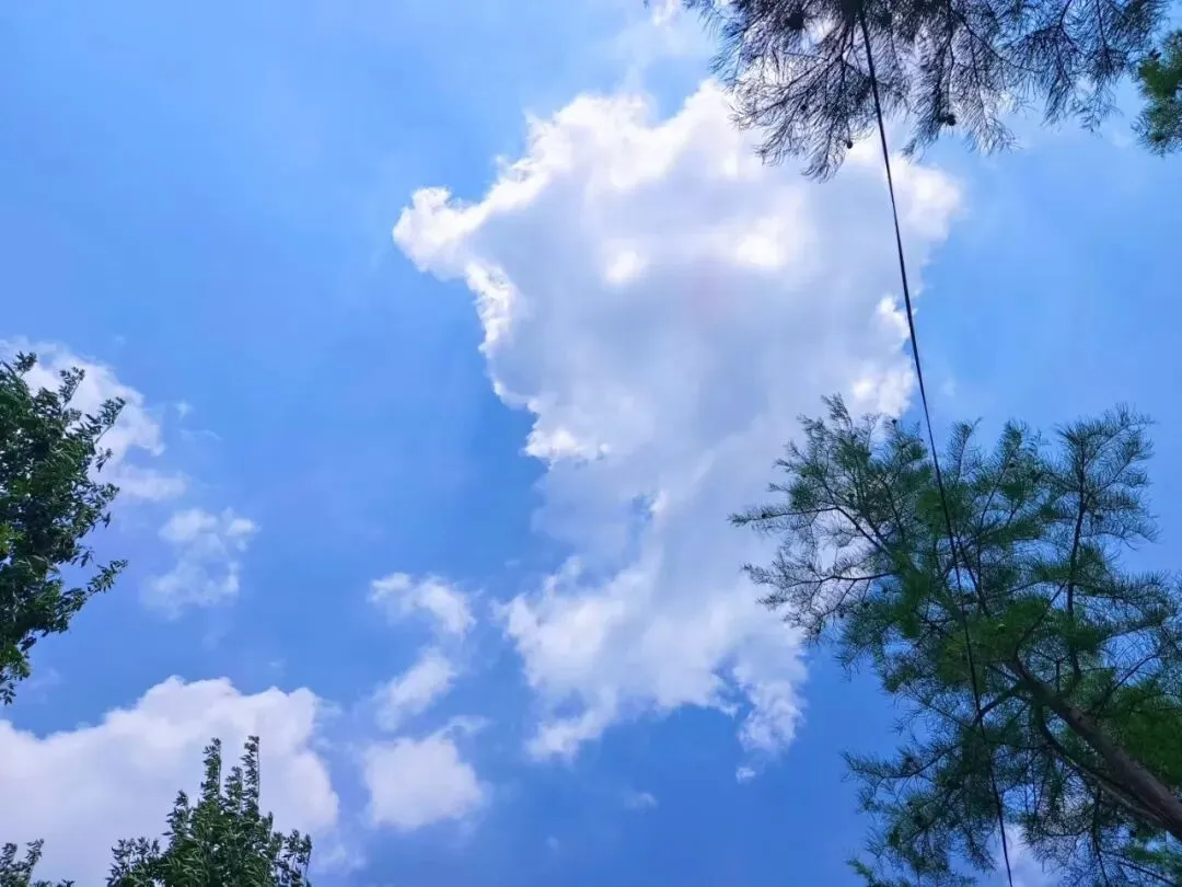 中考出分后最珍贵的成长:不是分数高低,是懂得复盘与规划未来-第2张图片-四季读书网 中考出分后最珍贵的成长:不是分数高低,是懂得复盘与规划未来-第2张图片-四季读书网
