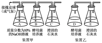 山东省2026年夏季普通高中学业水平合格考试生物学仿真模拟试题和答案02(附word下载) ⊙-第9张图片-四季读书网 山东省2026年夏季普通高中学业水平合格考试生物学仿真模拟试题和答案02(附word下载) ⊙-第9张图片-四季读书网