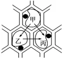 山东省2026年夏季普通高中学业水平合格考试生物学仿真模拟试题和答案02(附word下载) ⊙-第8张图片-四季读书网 山东省2026年夏季普通高中学业水平合格考试生物学仿真模拟试题和答案02(附word下载) ⊙-第8张图片-四季读书网